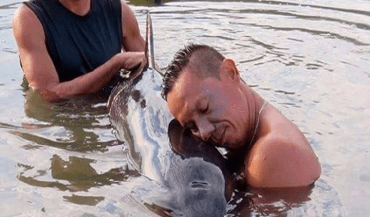 Surferi zachraňujú Stranded Baby Whale po vypočutí jej výkrikov o pomoc