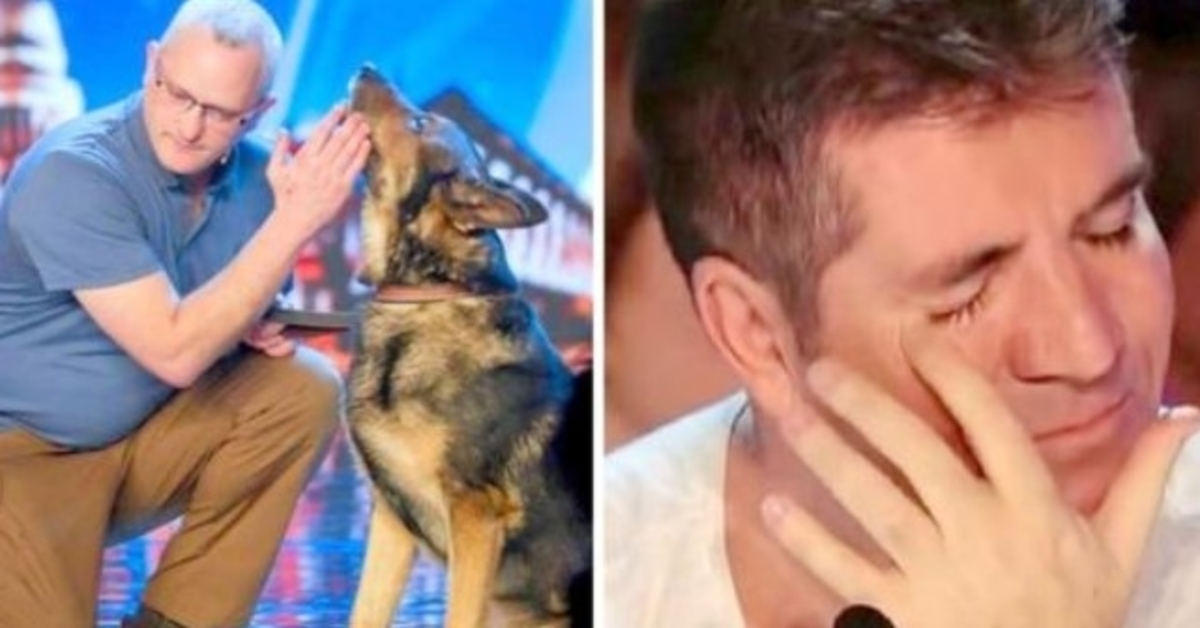 Policajný pes prebodnutý pri línii služby, Simon Cowell bojuje proti slzám na BGT